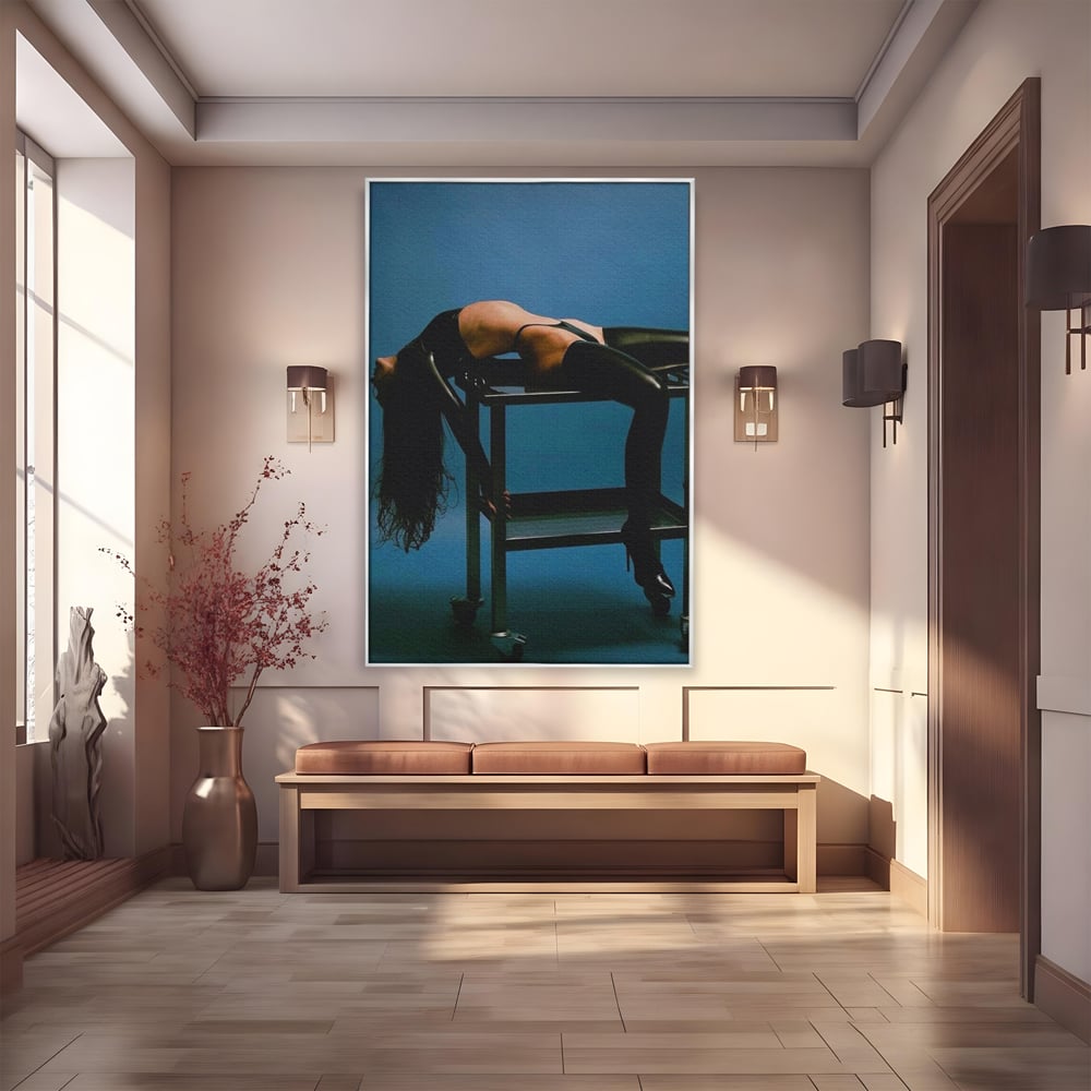 Tablou canvas cu tablou canvas cu silueta curbata pe masa, in rama de aluminiu argintiu